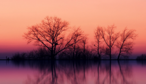 强强对抗：实力碰撞，胜负垂危，全场亢奋