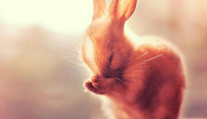 强强对抗：实力碰撞，胜负垂危，全场亢奋