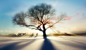 瑞典女足全队伤愈，备战决赛