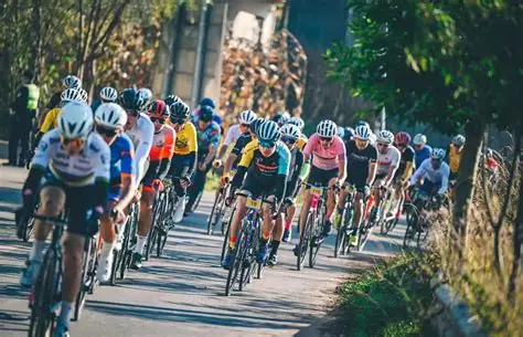 开云网页版 - 开云中国官方网站 - KAIYUN OFFICIAL